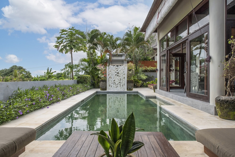 Photo 279