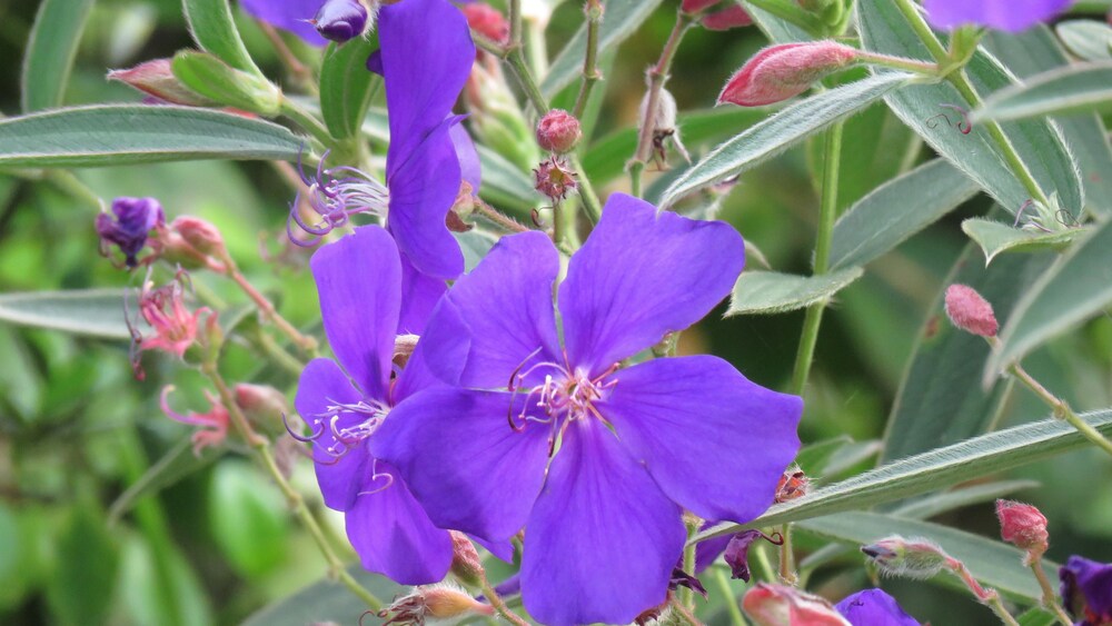 Photo 24