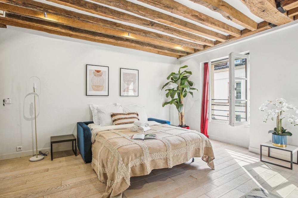 Spacious 1BR in the Heart of Paris