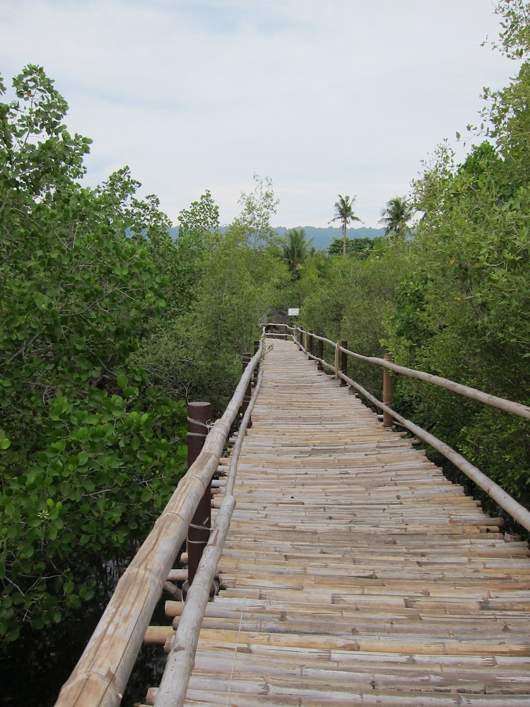 Photo 43