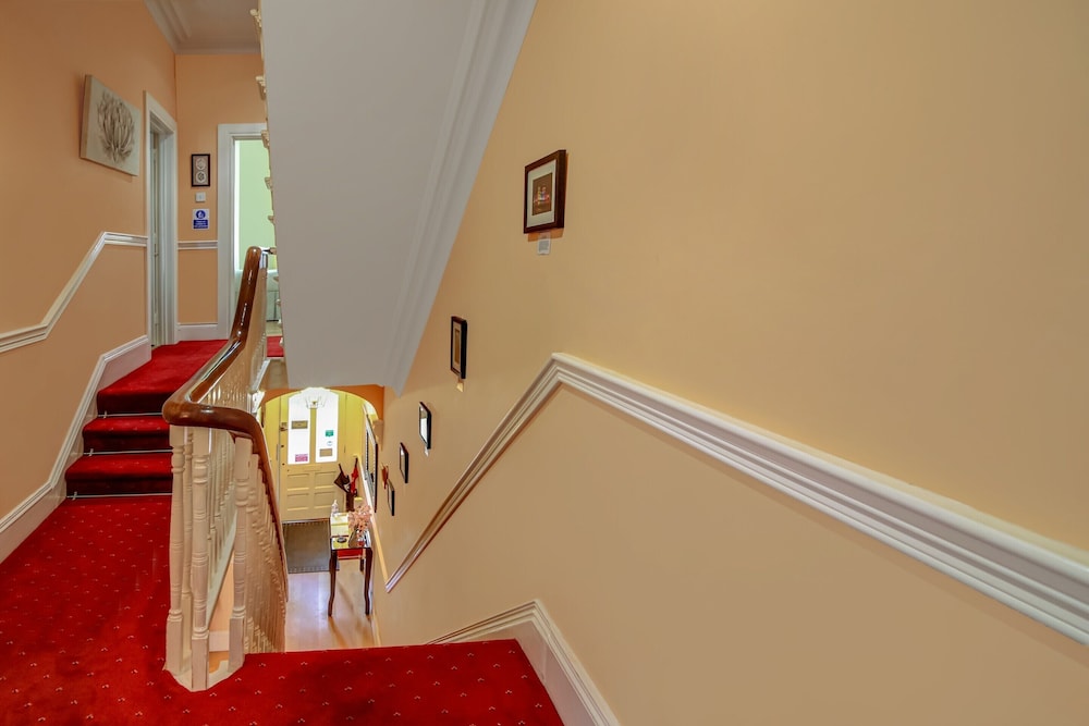 OYO Avenue House