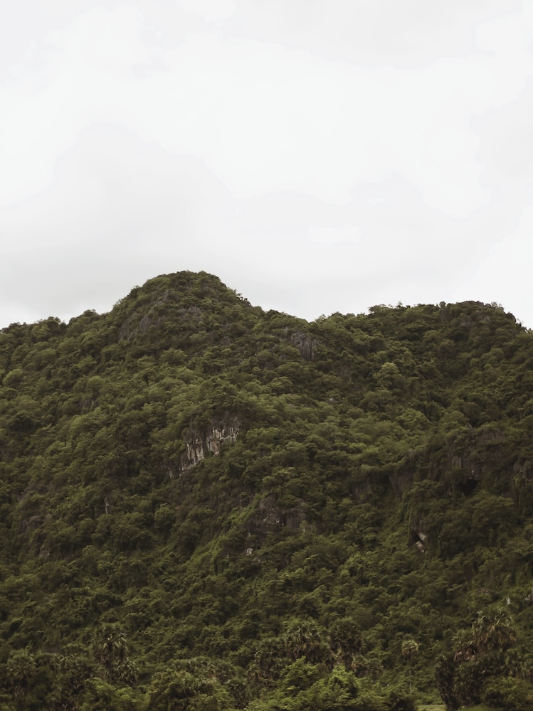 Serene Vita Retreat