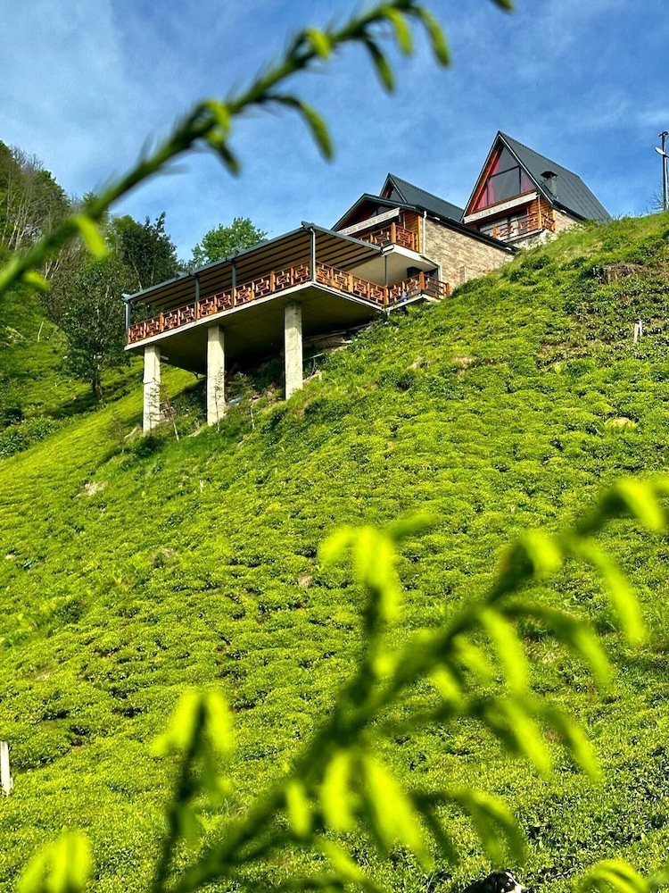 Celazeni Suit Bungalov