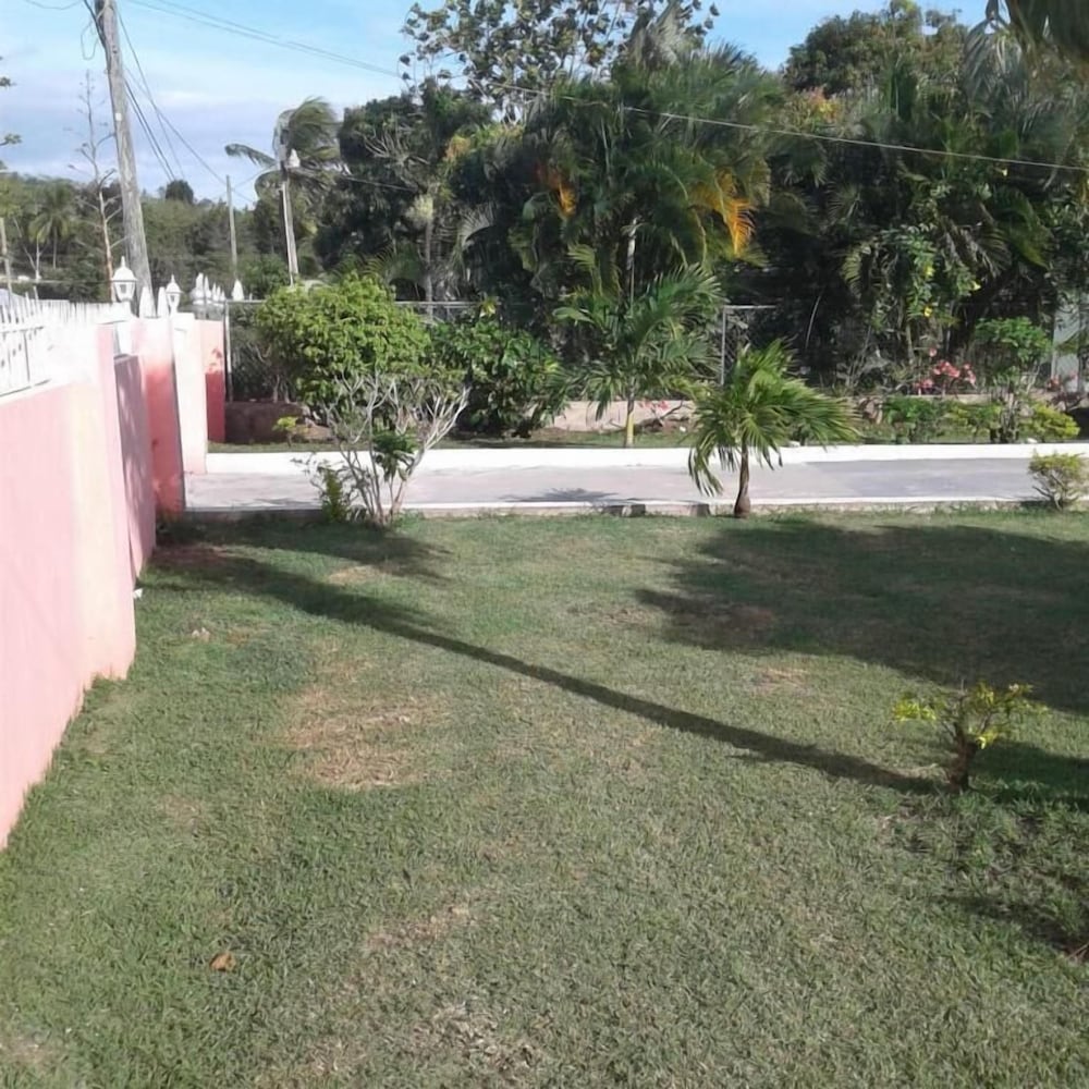 Photo 38