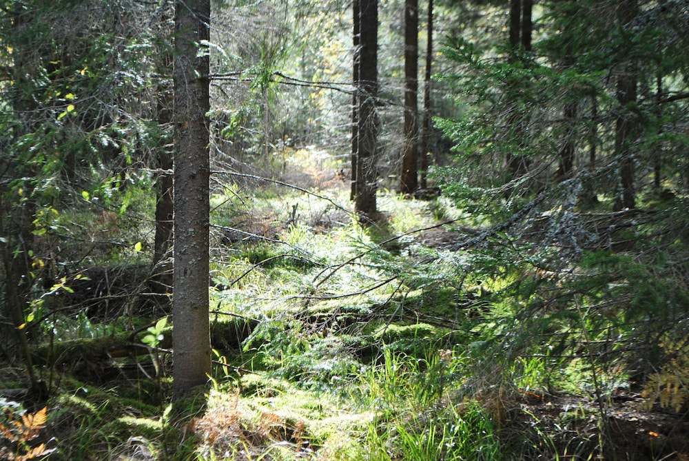 Photo 22