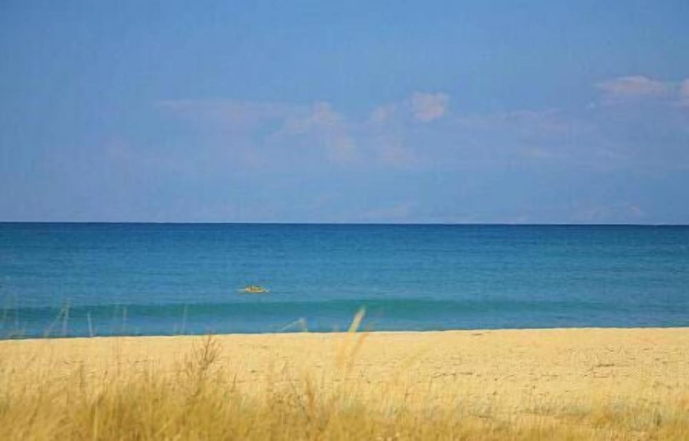 Elli Beach Apartments and Studios