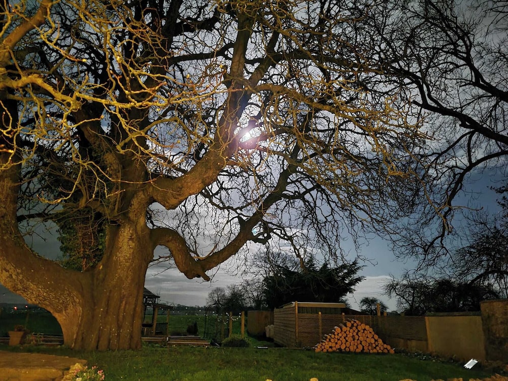 Yeovil Vacations - Northover Manor Hotel - Property Image 14