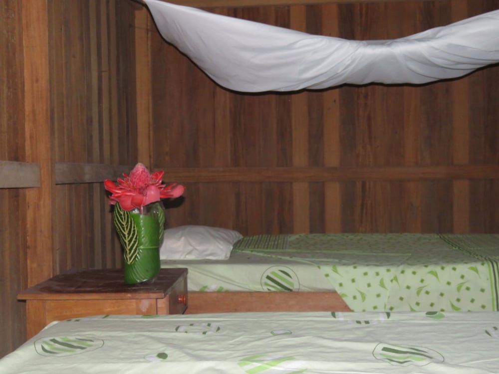Tambopata Guest House view 3