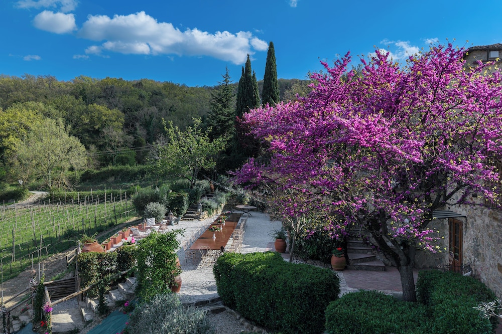 Villa Chianti With Exclusive Pool And Typical Barn