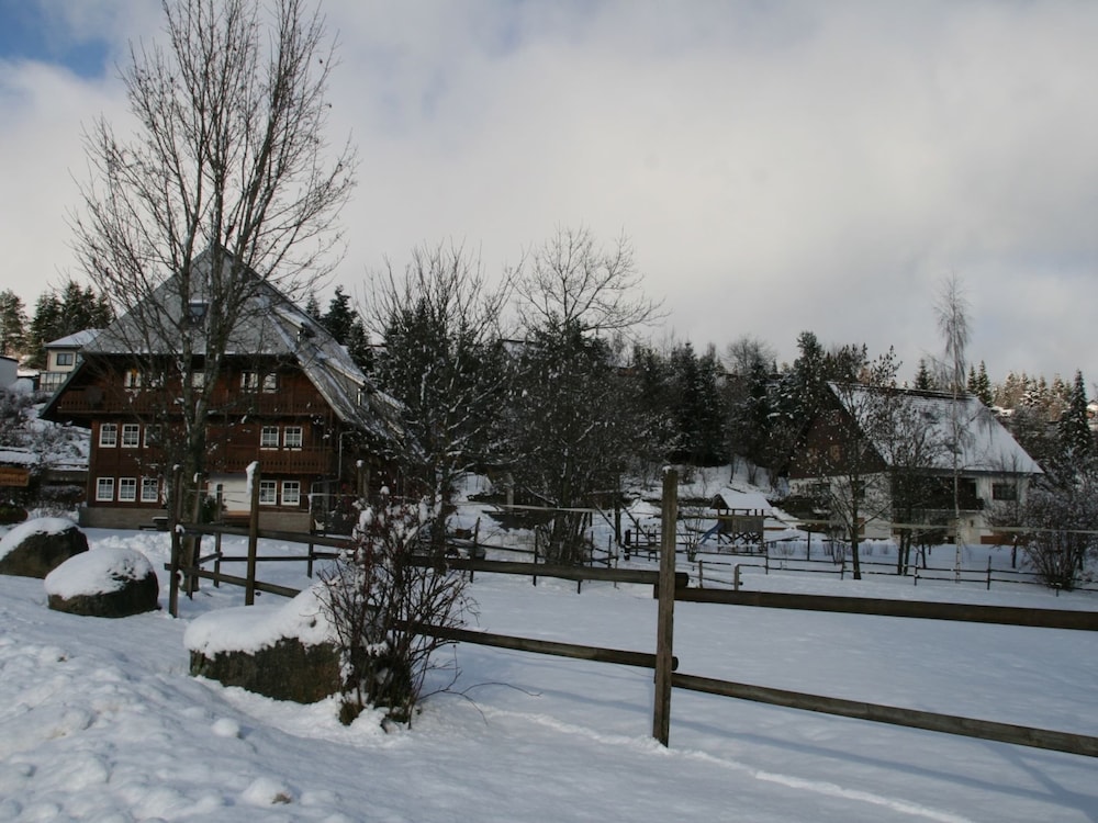 Photo 13