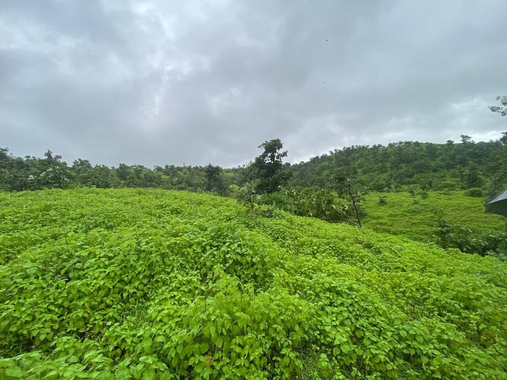 Growpure Luxury Farm & Nature Resort