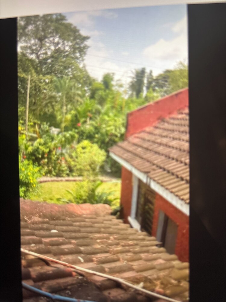 Kiota Jungle Homestay