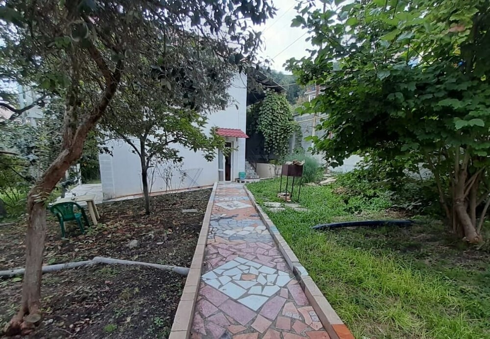 Photo 31