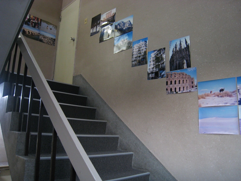 Eco Dogo - Hostel