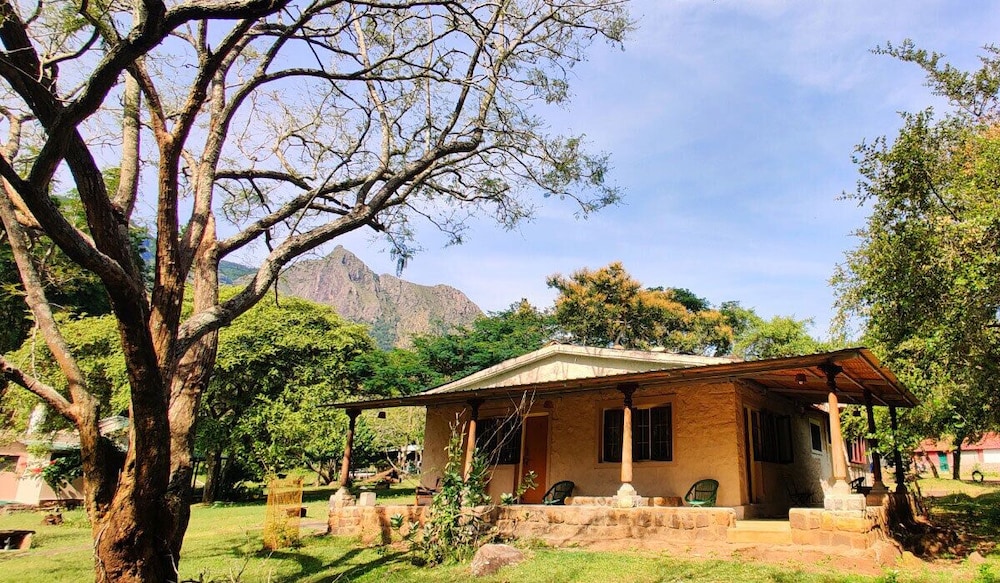 Jungle Hut Resorts