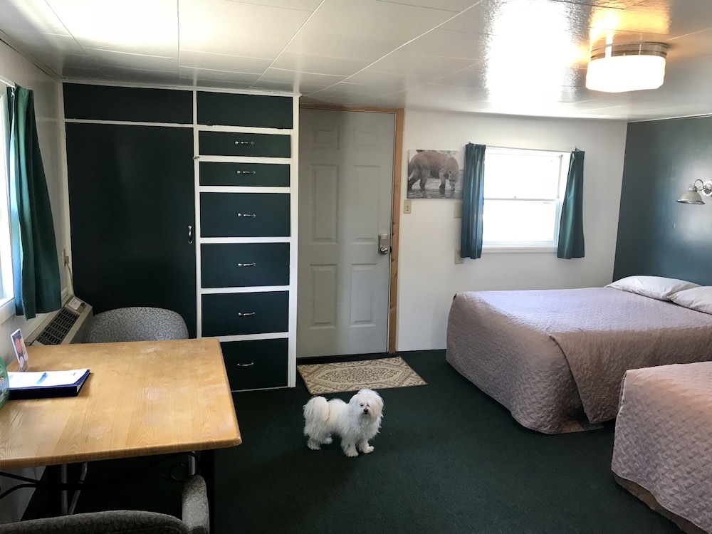 Tenderfoot Cabins & Motel