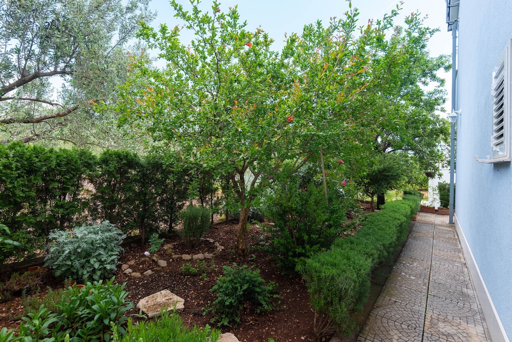 Photo 24