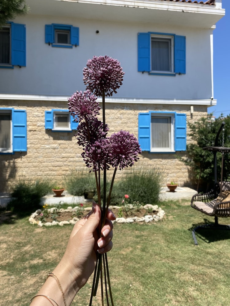 Casa Gaia Otel - Image 30