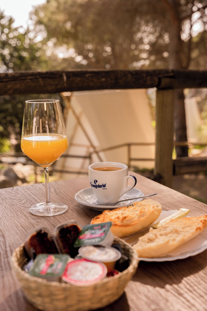 Camping Tajo Rodillo