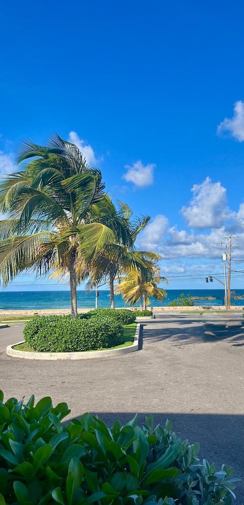 Sunny-shore Hideaway