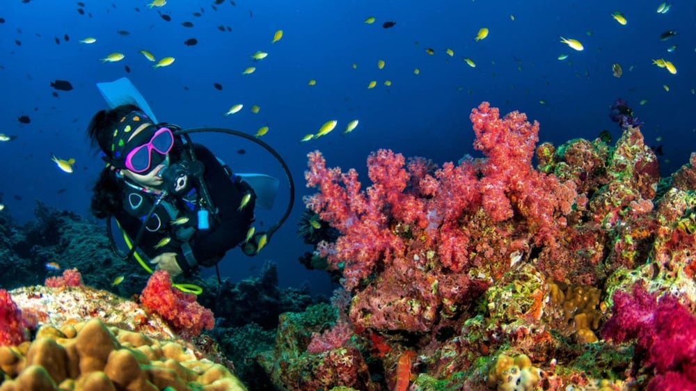 Kihaa Maldives