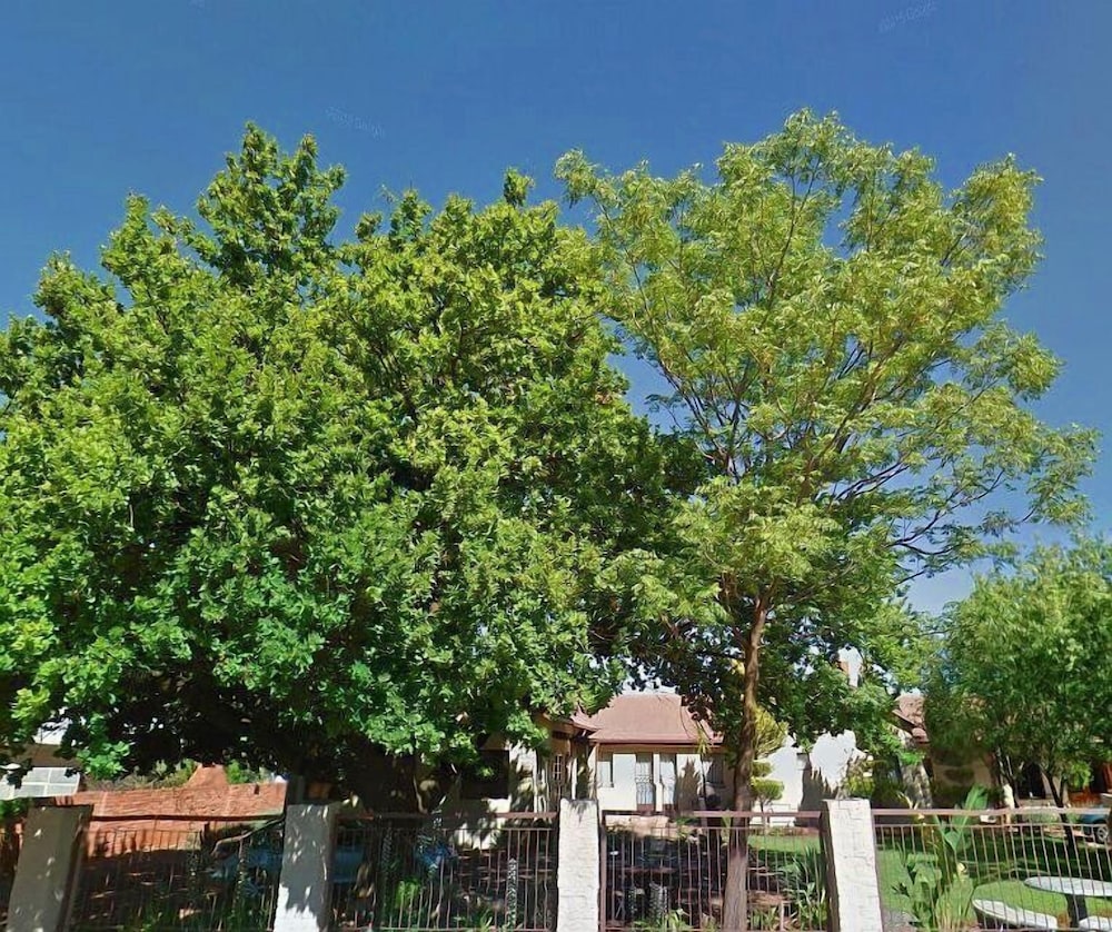 Oak Rest Guesthouse