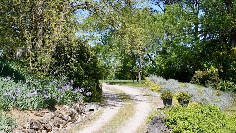 Photo 44