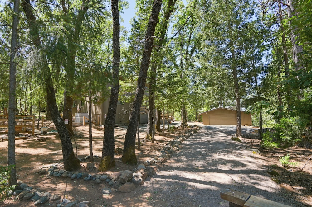 Welcoming Cole Ridge Chalet in Kelseyville! view 5