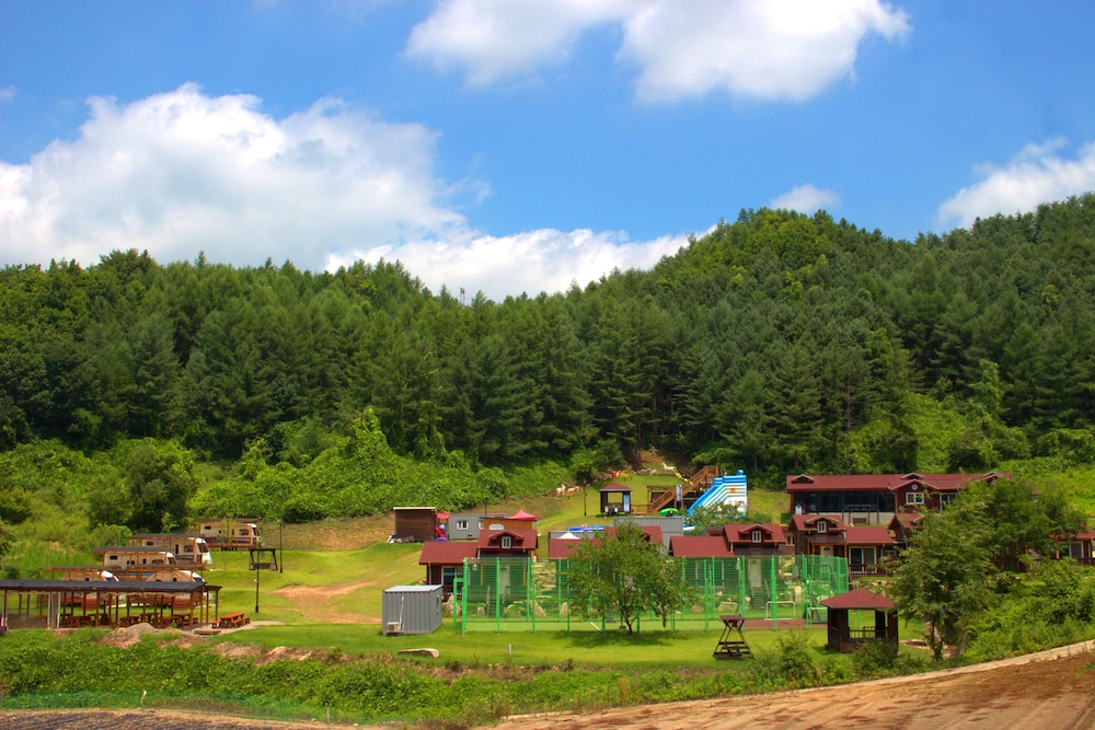 Nature and Healing view 2
