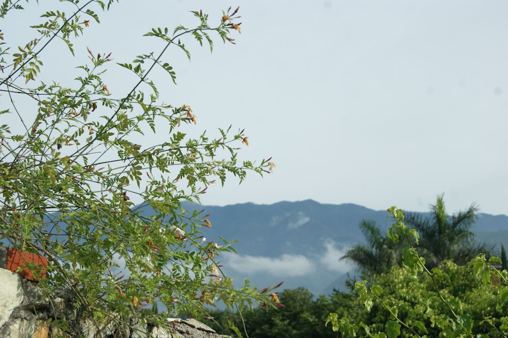 Photo 25