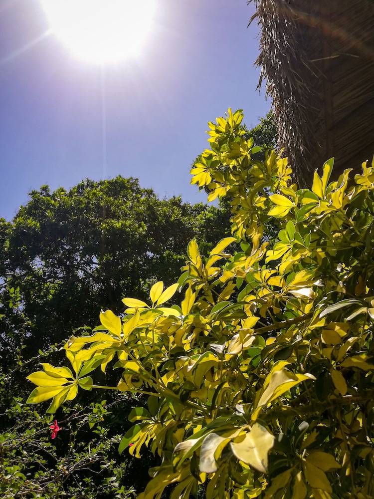 Ecohabs Bosques del Tayrona
