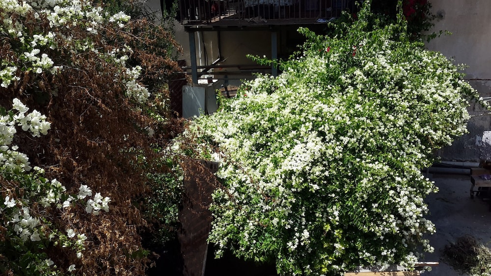 Daher Guest House Nazareth - Hostel
