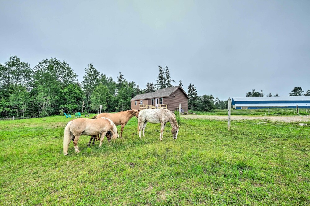 Historic Cottage on Horse Farm: Firepit & BBQ view 2