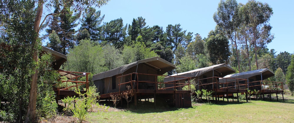 Tri Active Lodge