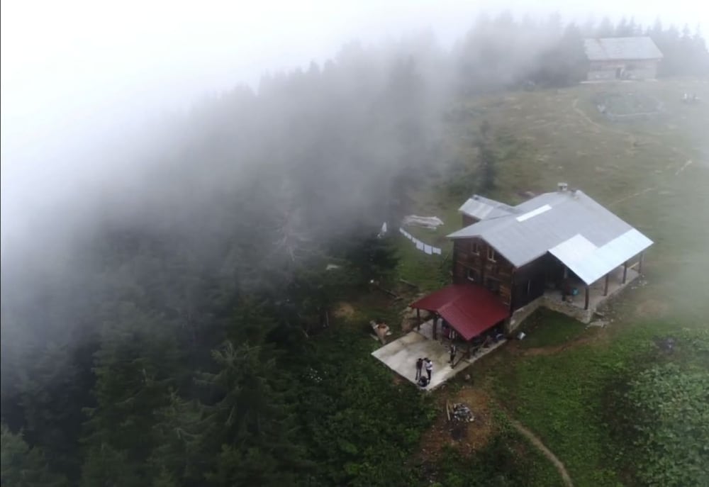 Tanevit Dag Evi