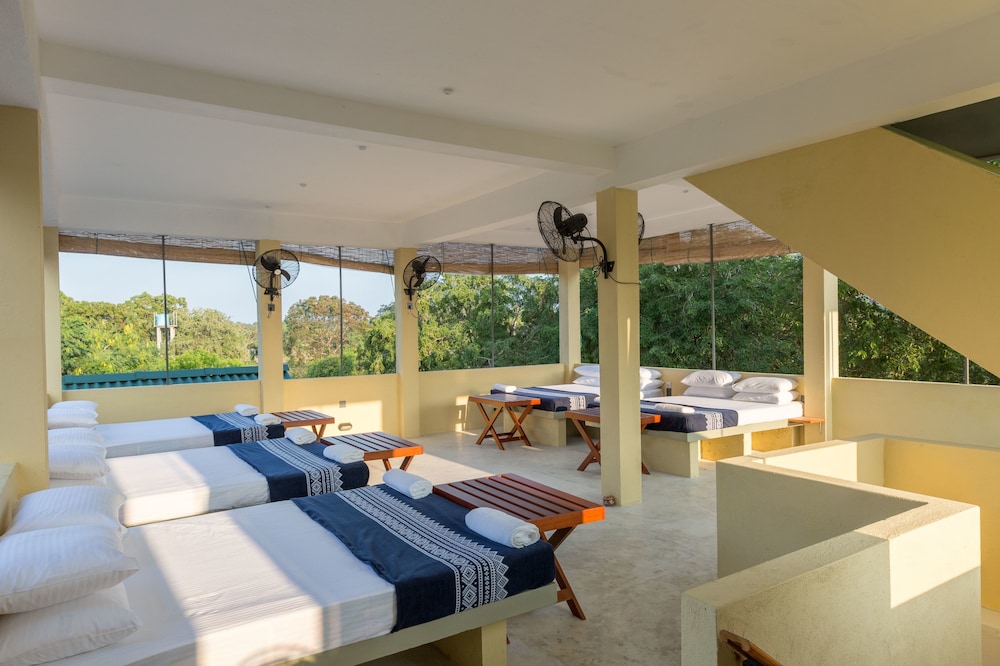 Forestville Yala