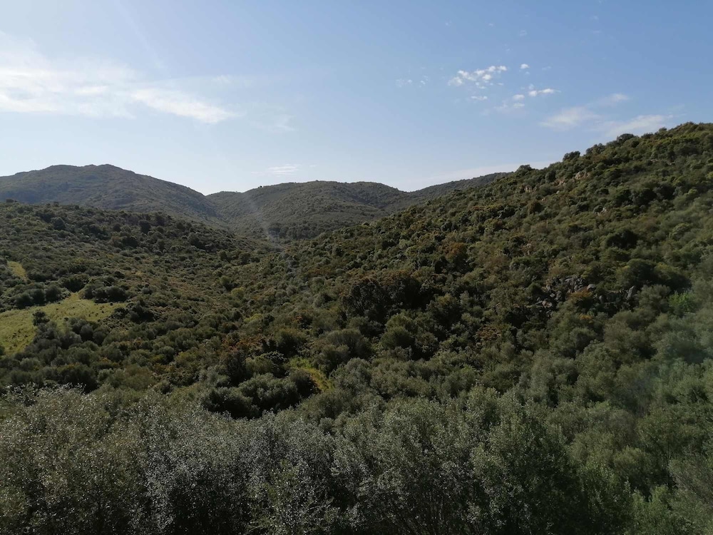 Photo 49
