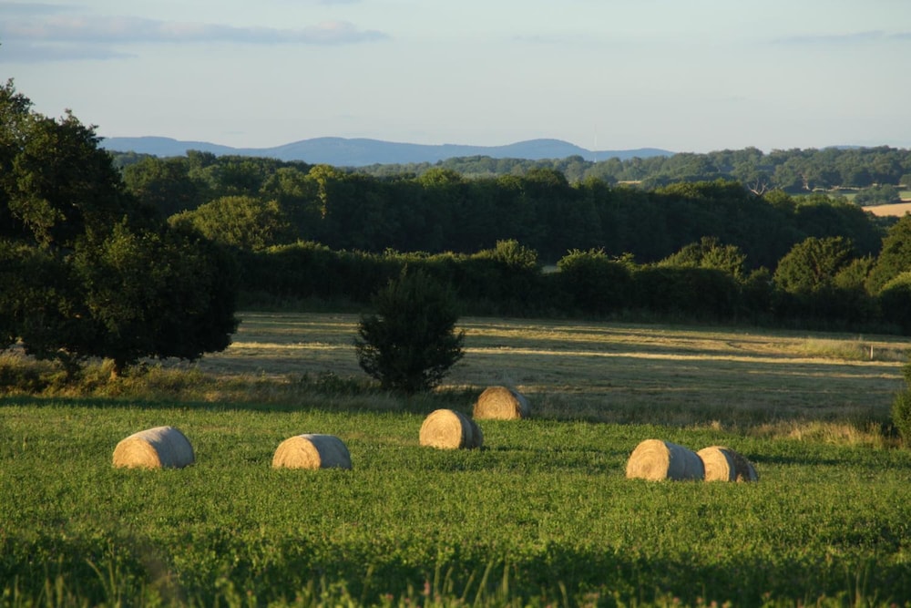 Domaine de Savigny