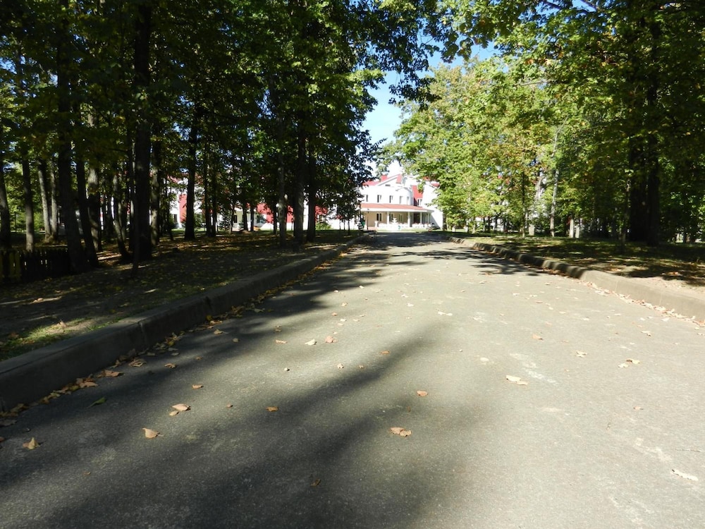 Photo 45
