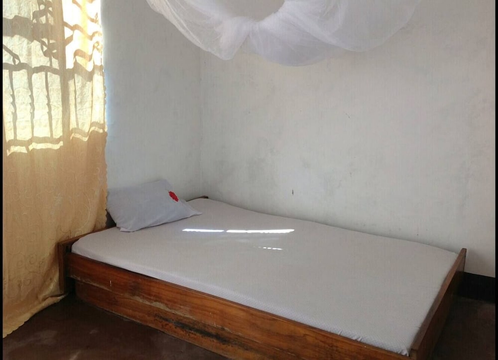 The Maasai Homestay & Safaris view 4