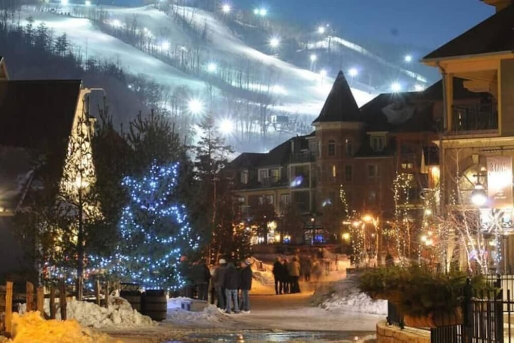 Blue Mountain at your Door Step