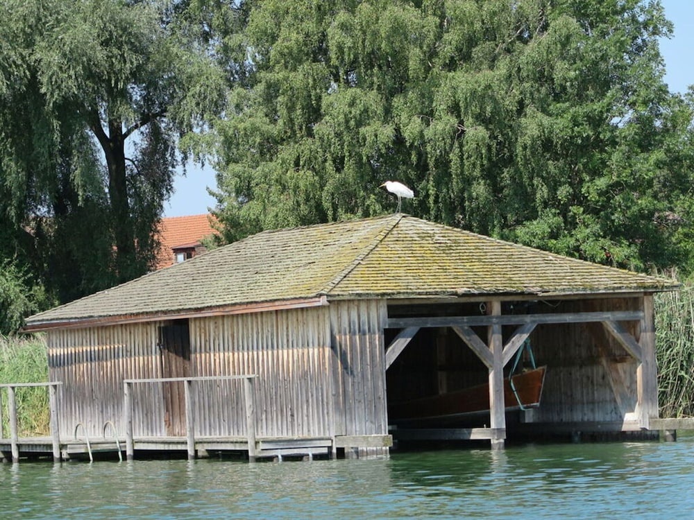 Dennenboomdroom