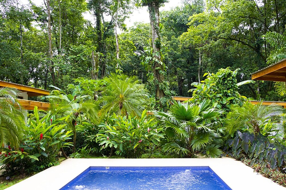 La Paz del Caribe