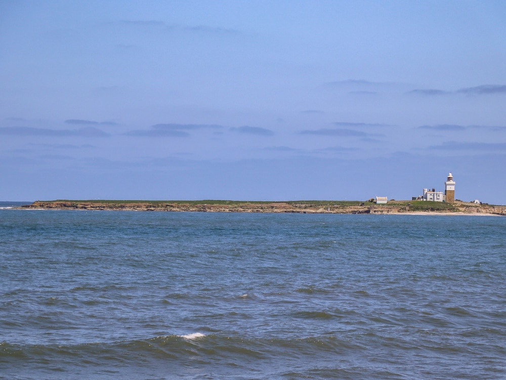 The Waves
