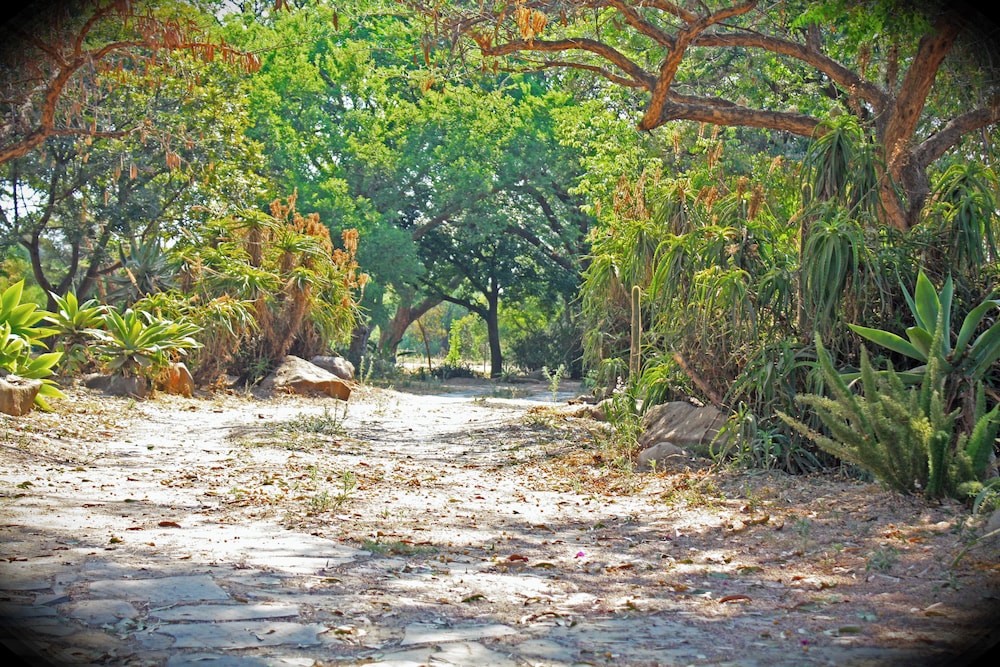 Photo 17