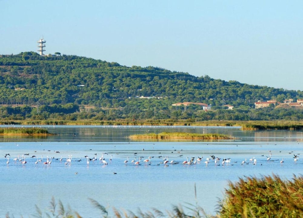Escape Near the Beach in Agde