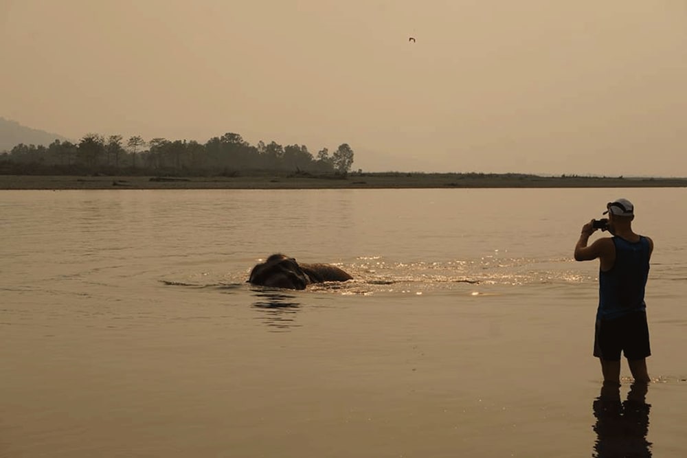 Tigertops Elephant Camp
