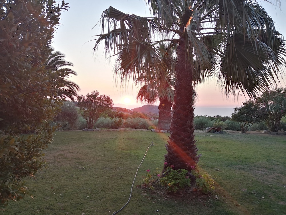 Photo 42