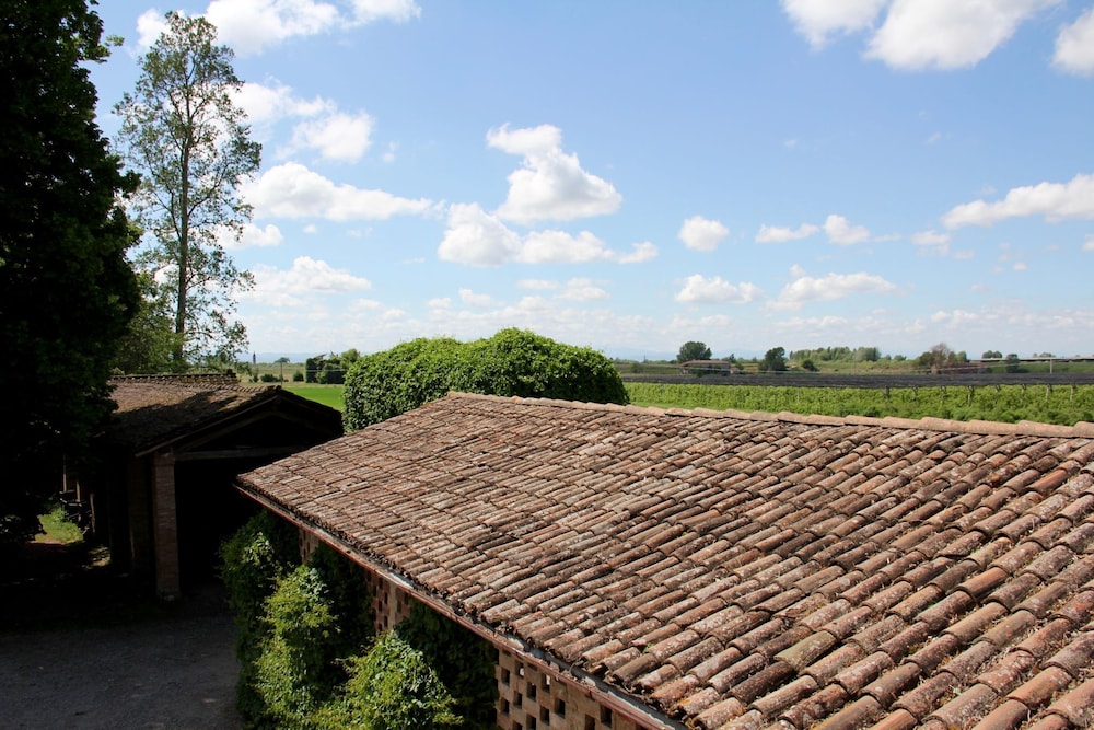 Photo 46