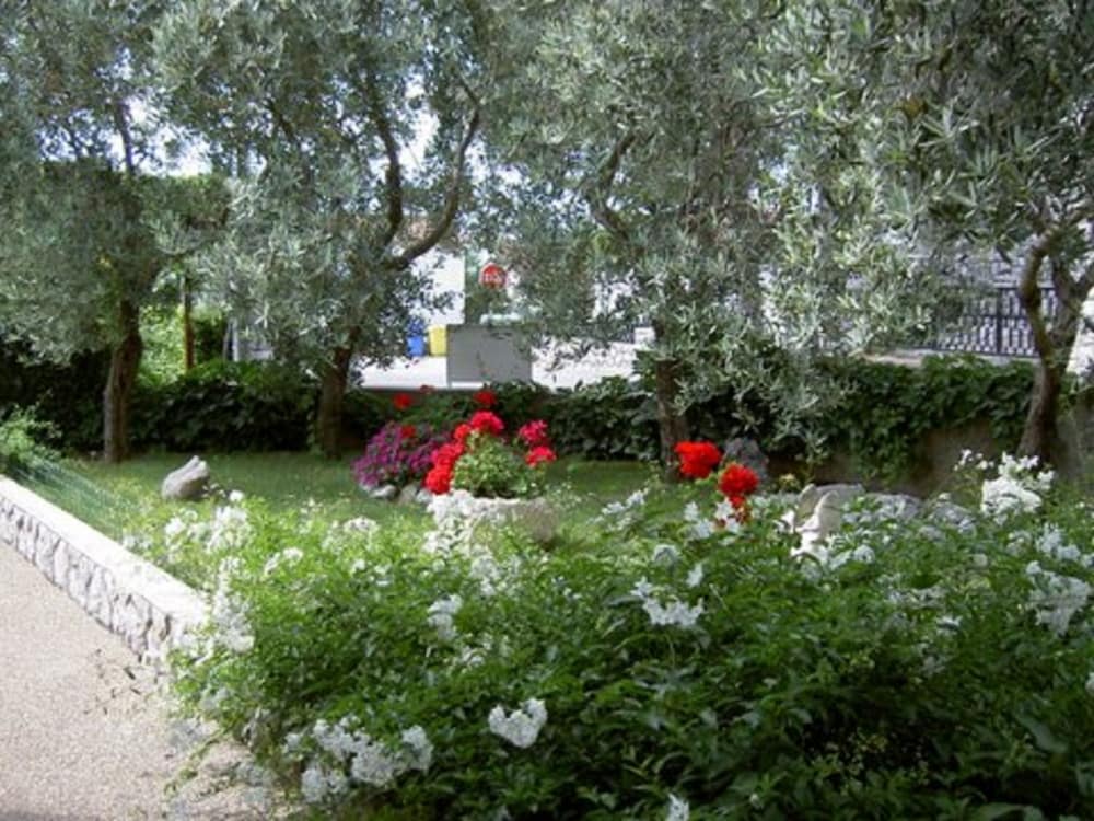 Photo 17